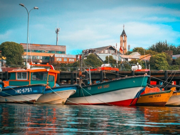 Inmobiliaria en Castro: Innovación y desarrollo sostenible en la Isla de Chiloé - Inmobiliaria Terramater